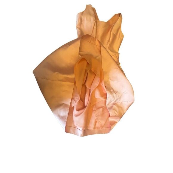 Ricky freeman Teri Jon 100% silk sleeveless peach dress size 2 - Picture 5 of 14